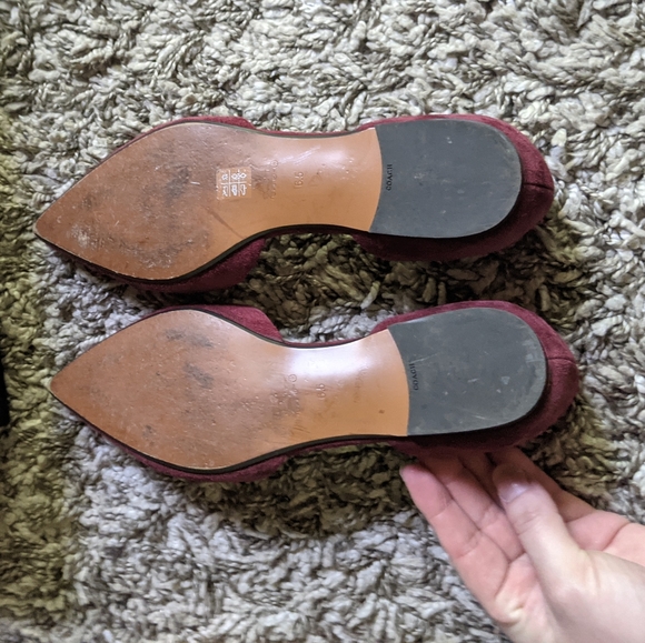 Coach wine suede pointed toe flats - Picture 7 of 10